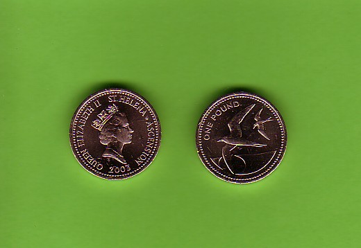 ST HELENA and ASCENSION ISLAND - 2003 £1 UNC/Sea Bird